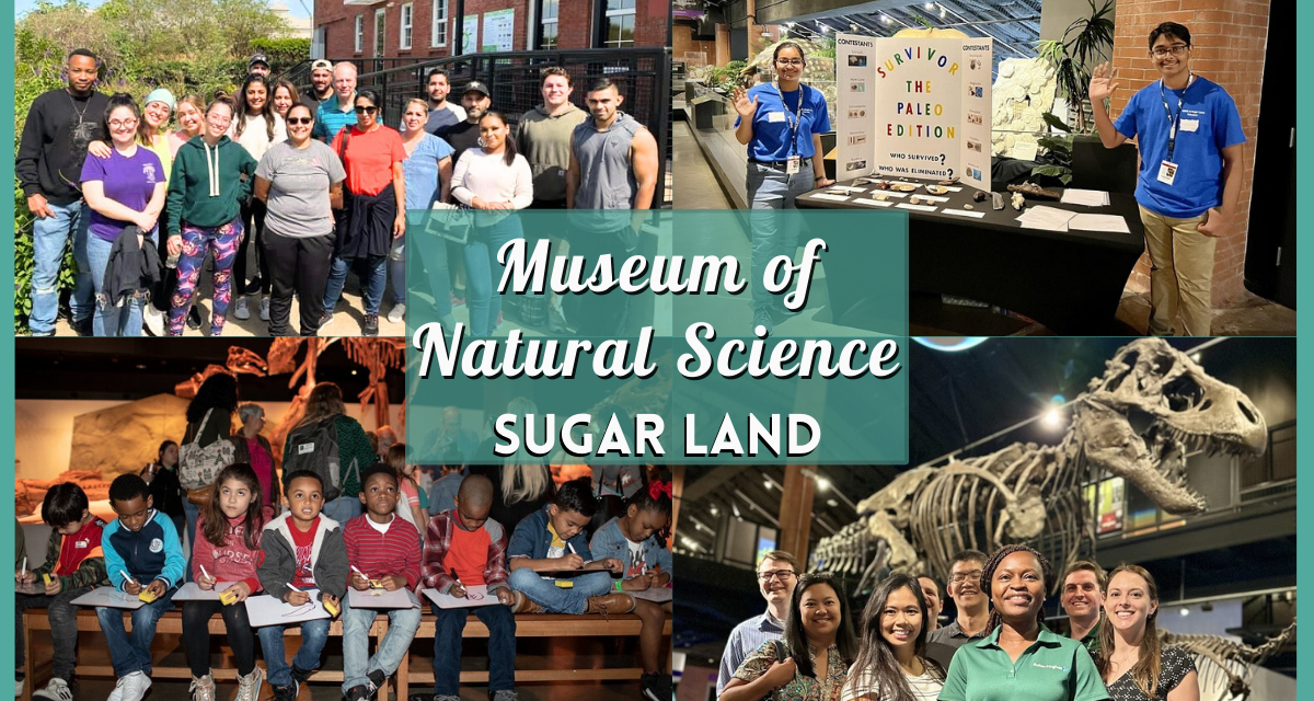 Museum of Natural Science Sugar Land – Coupons, Prices, Hours, and More!