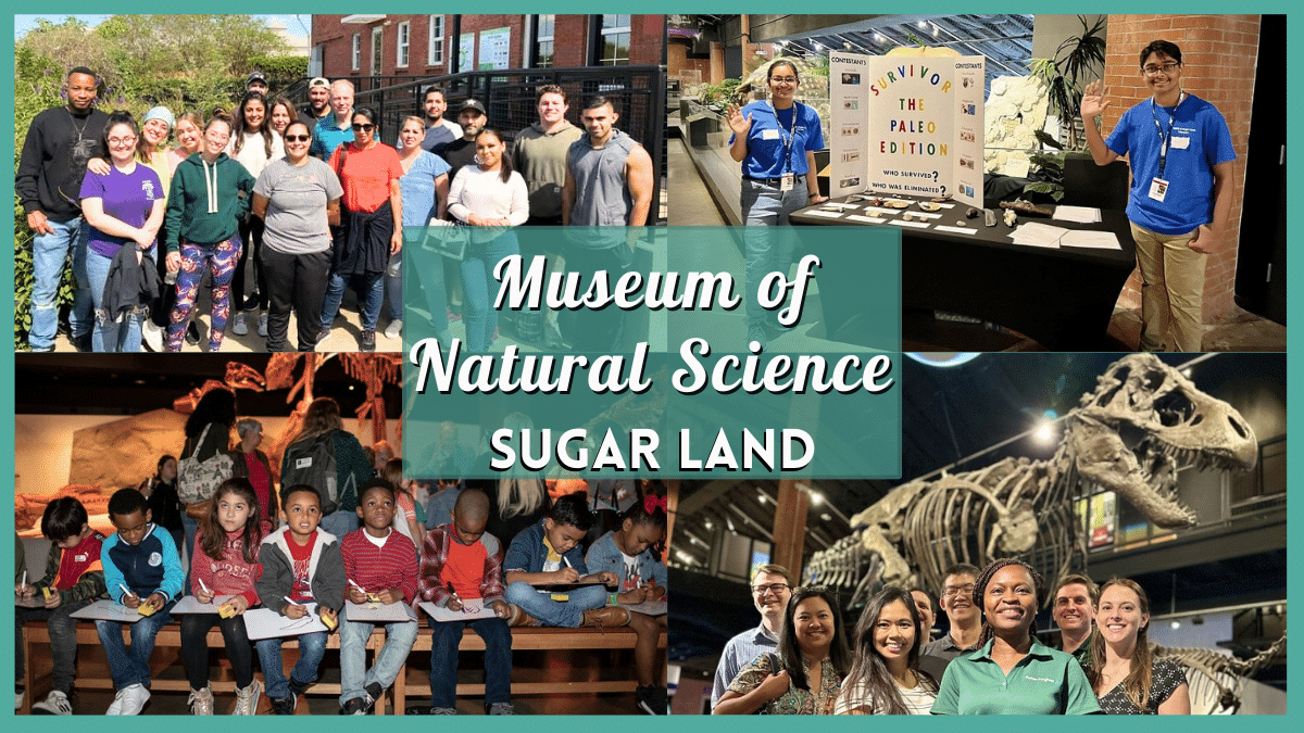 Your Guide to Museum of Natural Science Sugar Land