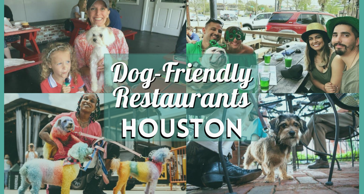 Dog Friendly Restaurants Houston – Pet Friendly Diners, Bars, and Cafes!