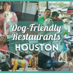 Dog Friendly Restaurants Houston – Pet Friendly Diners, Bars, and Cafes!