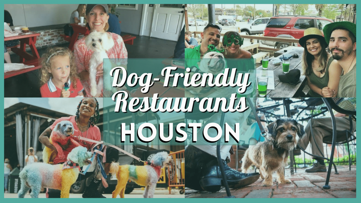 Dog Friendly Restaurants Houston