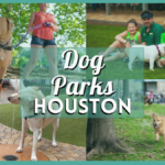 Pawtastic Playdates – 25 Dog Park Houston Favorites Your Pups Will Love