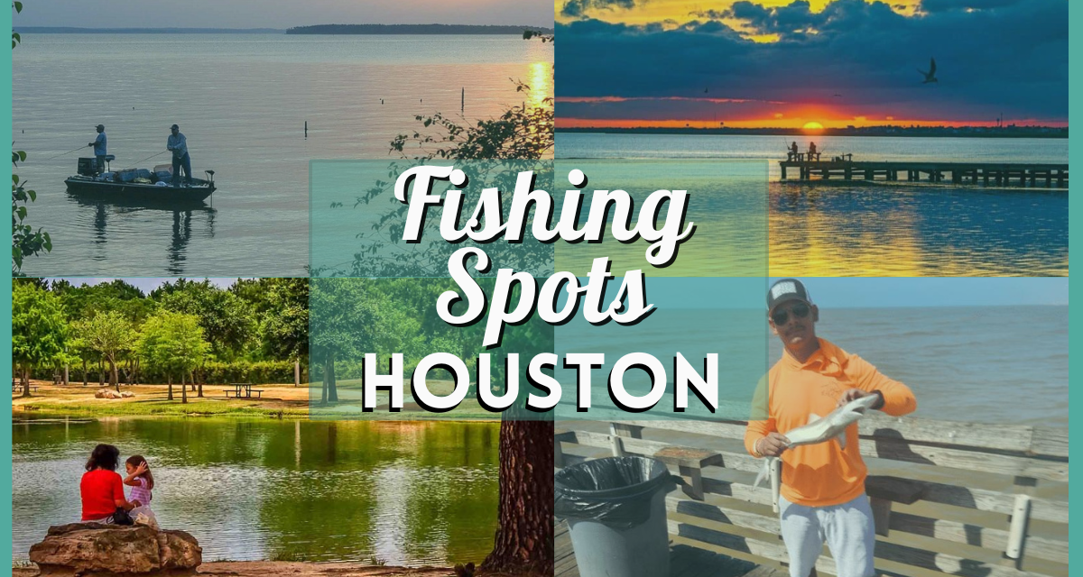 Fishing in Houston – Best Spots, Parks, Docks, & Places to Fish in H-Town!
