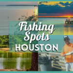 Fishing in Houston – Best Spots, Parks, Docks, & Places to Fish in H-Town!