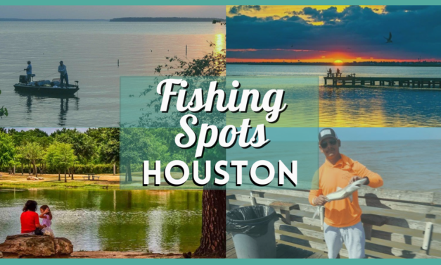 Fishing in Houston – Best Spots, Parks, Docks, & Places to Fish in H-Town!