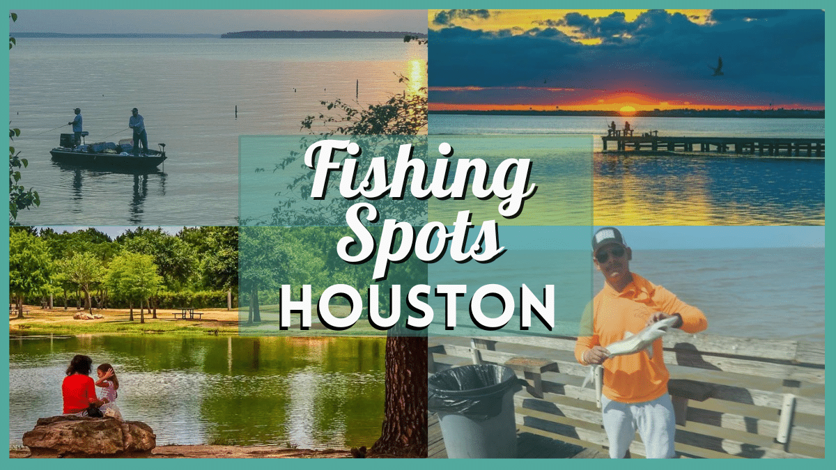 Fishing in Houston