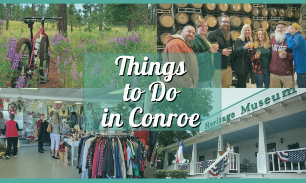 Art & History, Shopping, Food Trips, and Plenty More Fun Things to do in Conroe TX!