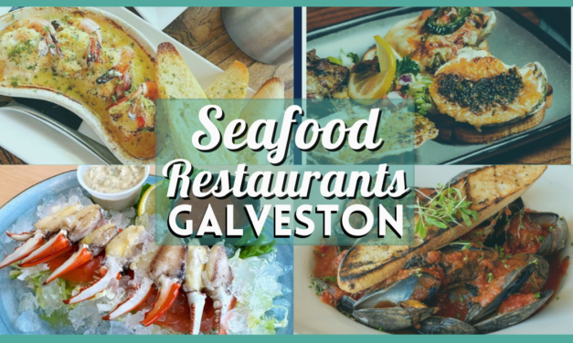 A Seafood Lover’s Guide to the Top Seafood Restaurants in Galveston TX