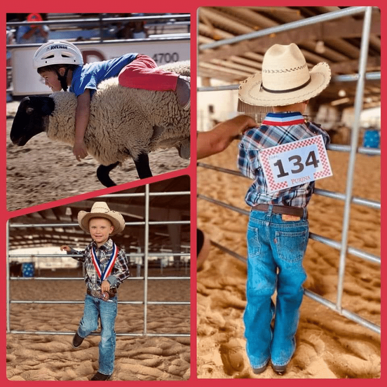 strawberry festival in pasadena - mutton bustin