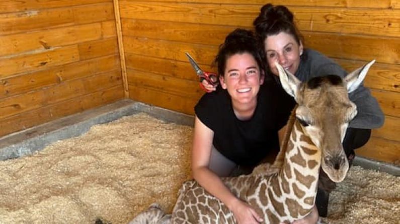 Things to do in Alvin TX | Bayou Wildlife Zoo