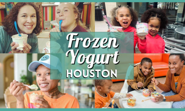 Best Frozen Yogurt in Houston: Discover Yogurt Shops and Flavors in 2025!
