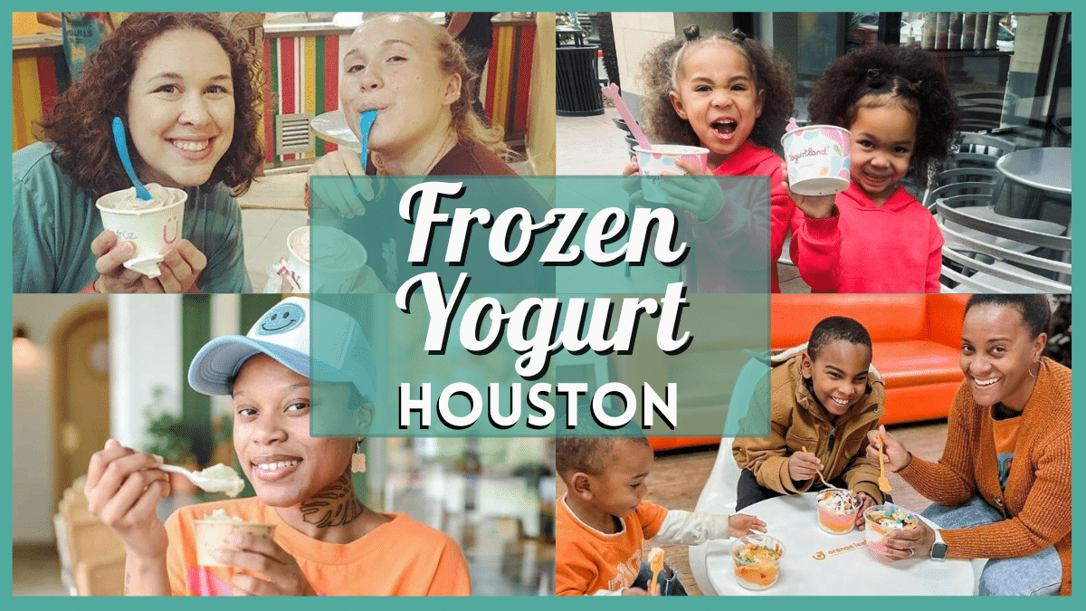 Best Frozen Yogurt in Houston 2025