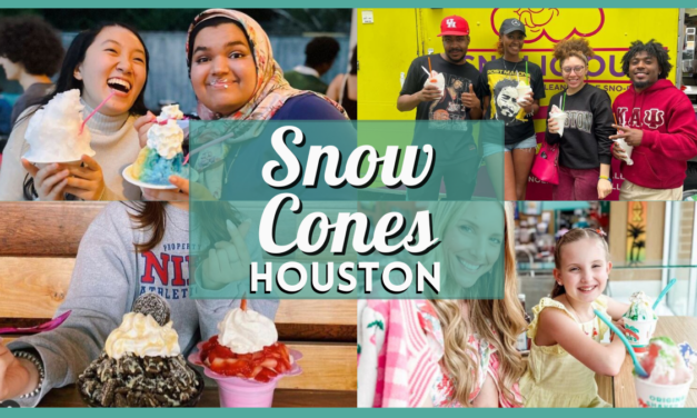 Best Snow Cones in Houston (2025) – 15+ Shaved Ice Spots You’ll Love