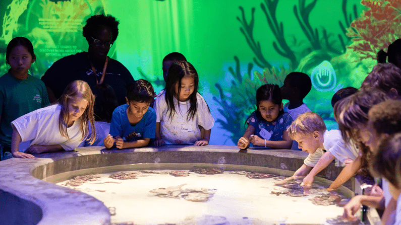 Spring Break Houston 2025 - 30 Fun Things To Do, Events and Activities! 10 Spring Break Houston - Houston Museum of Natural Science