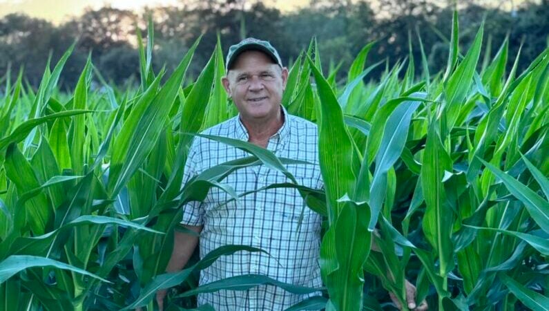 Corn maze Houston - Froberg's Farm