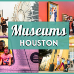 Best Houston Museums – Top Free & Family Spots