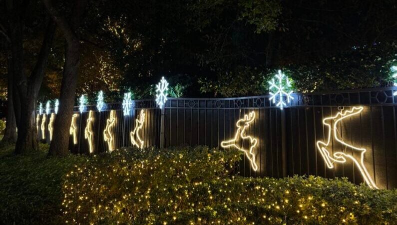 River Oaks Christams Lights