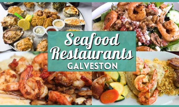 Seafood Restaurants Galveston: 10 Best Right Now