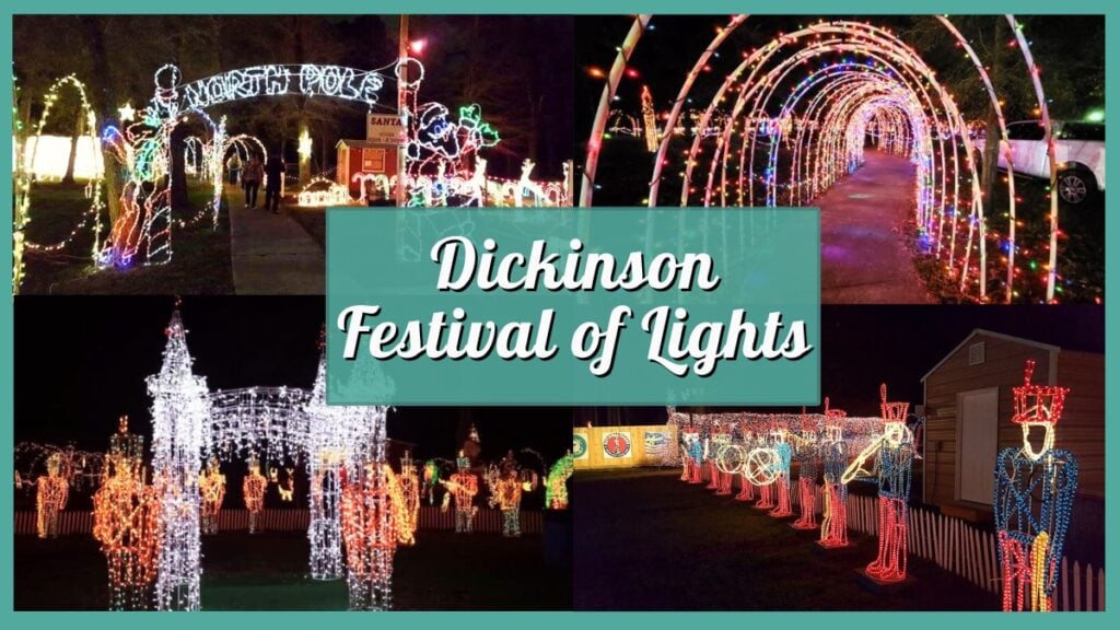 Dickinson Festival of Lights - Collage
