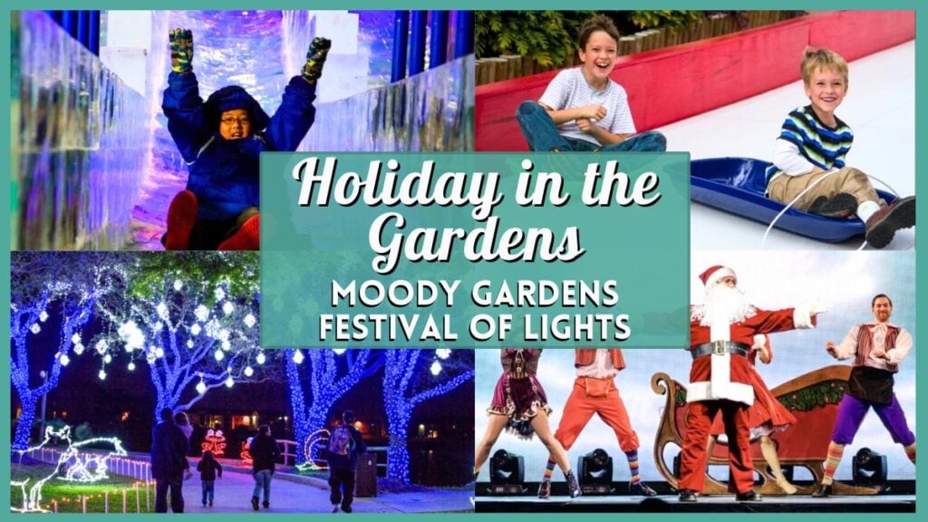 Holiday in the Gardens Moody Gardens 2025 - Collage