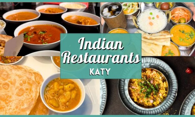 Best Indian Restaurants in Katy, TX (2025 Guide)