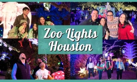Zoo Lights Houston 2025 – Dates, Tickets, Prices & Discounts at the Houston Zoo