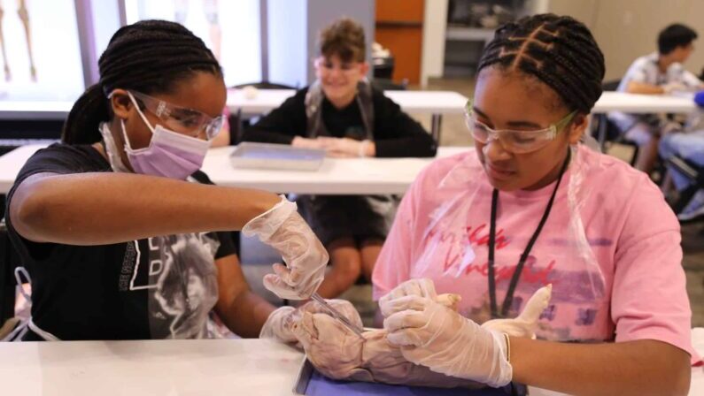 Spring break camps Houston - The Health Museum Discovery Camps
