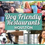Best Dog Friendly Restaurants Houston – Best Patios & Bars