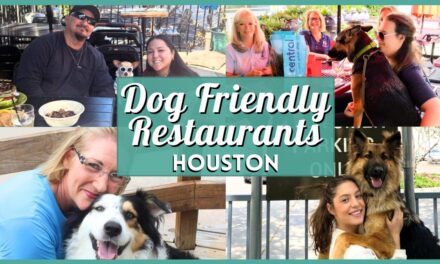 Best Dog Friendly Restaurants Houston – Best Patios & Bars