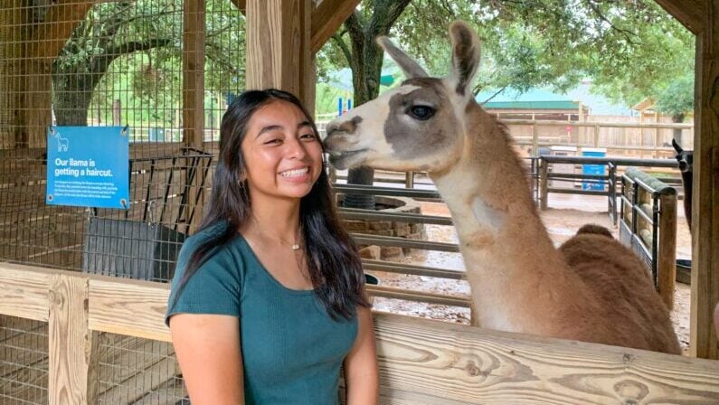 Kids Events in Houston in May 2026: Festivals, Interactive Shows, and Outdoor Fun 4 Kids events in Houston in May 2026 - Zoo Bloom