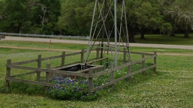 Houston bluebonnets 2026 - Brazos Bend State Park - Texas Parks and Wildlife