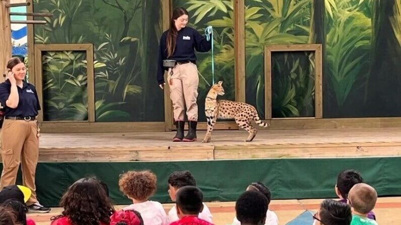 Earth day events in Houston - Party for the Planet at Downtown Aquarium