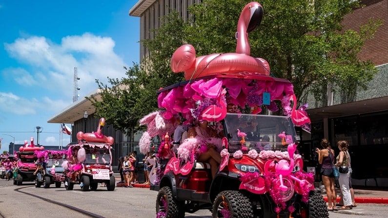 Weekend Getaway to Galveston - Flamingo Fest