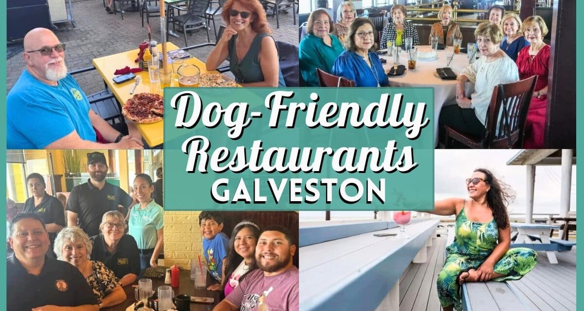 15+ Best Dog-Friendly Restaurants in Galveston (2026 Guide)