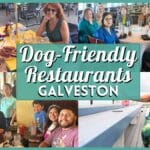 15+ Best Dog-Friendly Restaurants in Galveston (2026 Guide)