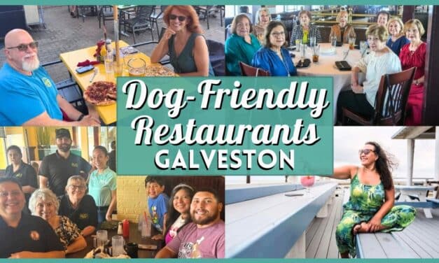 15+ Best Dog-Friendly Restaurants in Galveston (2026 Guide)