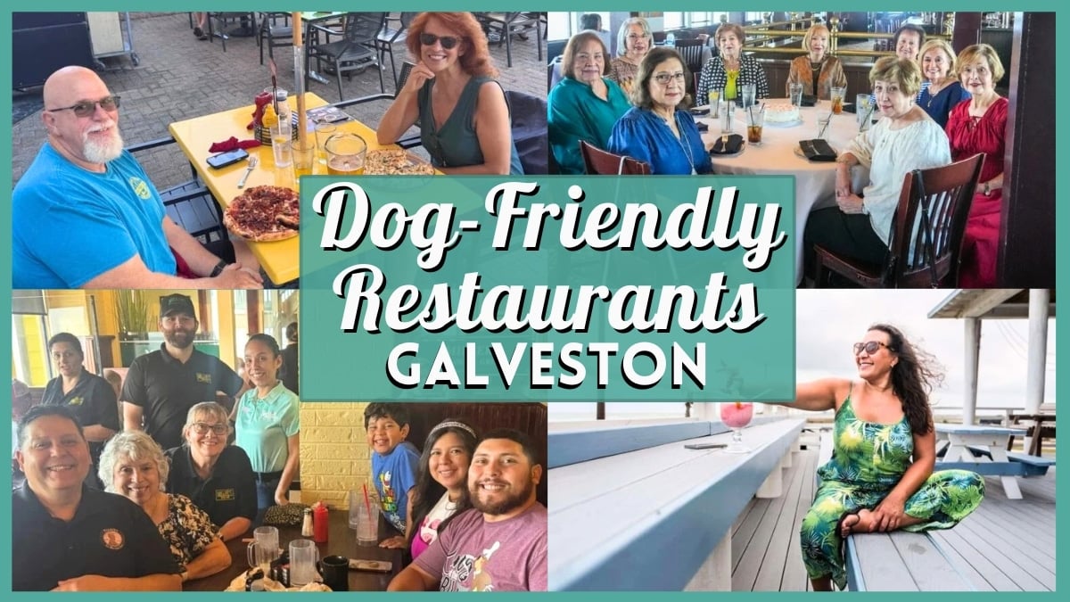 Dog-Friendly Restaurants in Galveston