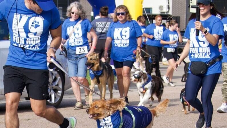 Top weekend events in Houston May 8 - 102026 - K9 Fun Run + Walk