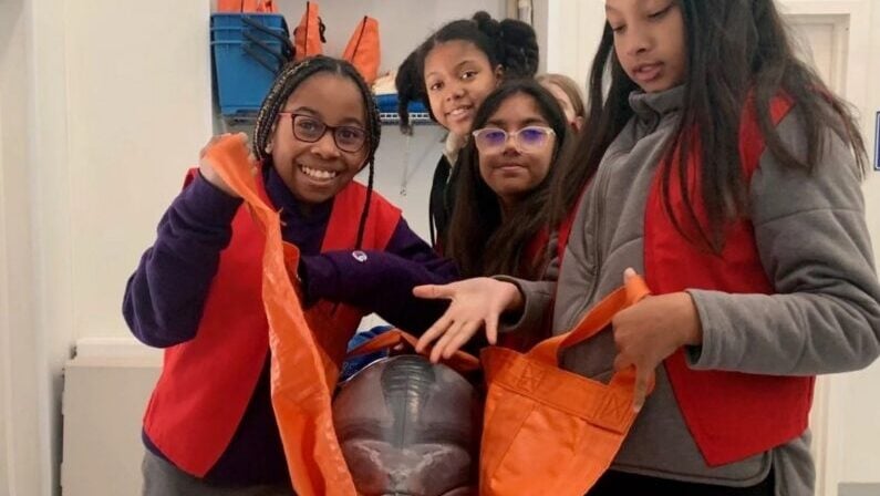 Fun, Free & Cheap Events | May 29 - May 31 8 Top weekend events in Houston May 29 - 31 2026 - Dolphin Conservation Workshop