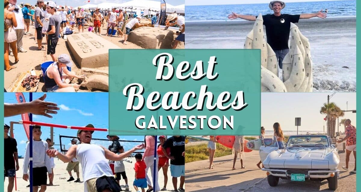 The Ultimate Guide to the Best Beaches in Galveston | Insider Tips for Your Visit