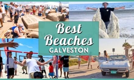 The Ultimate Guide to the Best Beaches in Galveston | Insider Tips for Your Visit