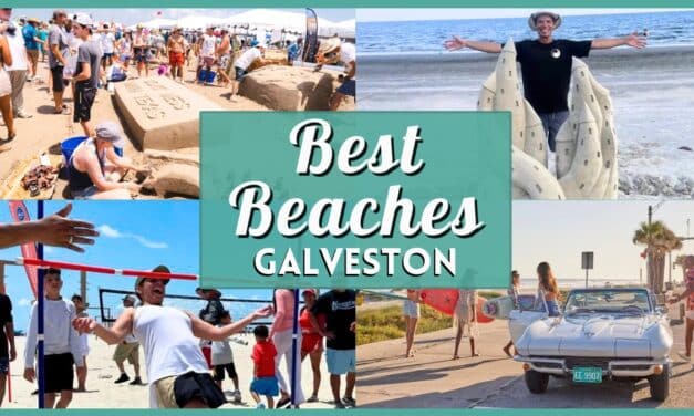 The Ultimate Guide to the Best Beaches in Galveston | Insider Tips for Your Visit