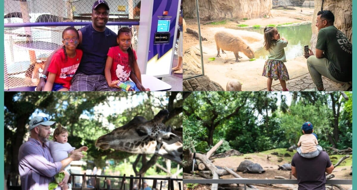 How to spend today – Father’s Day 2026 in Houston