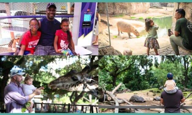 How to spend today – Father’s Day 2026 in Houston