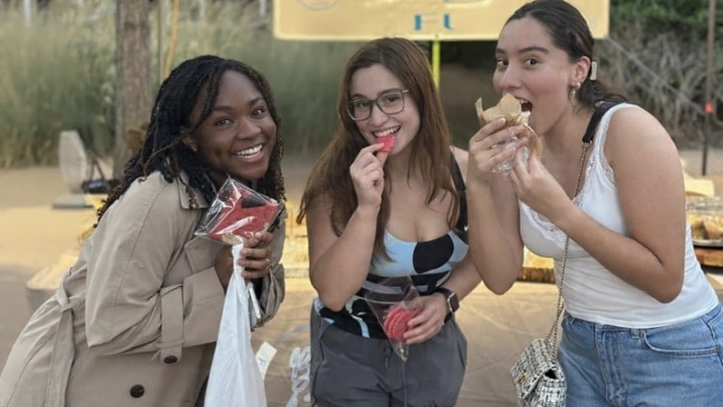 Top 5 Events in Houston Today - Flea by Night presented by Green Mountain Energy