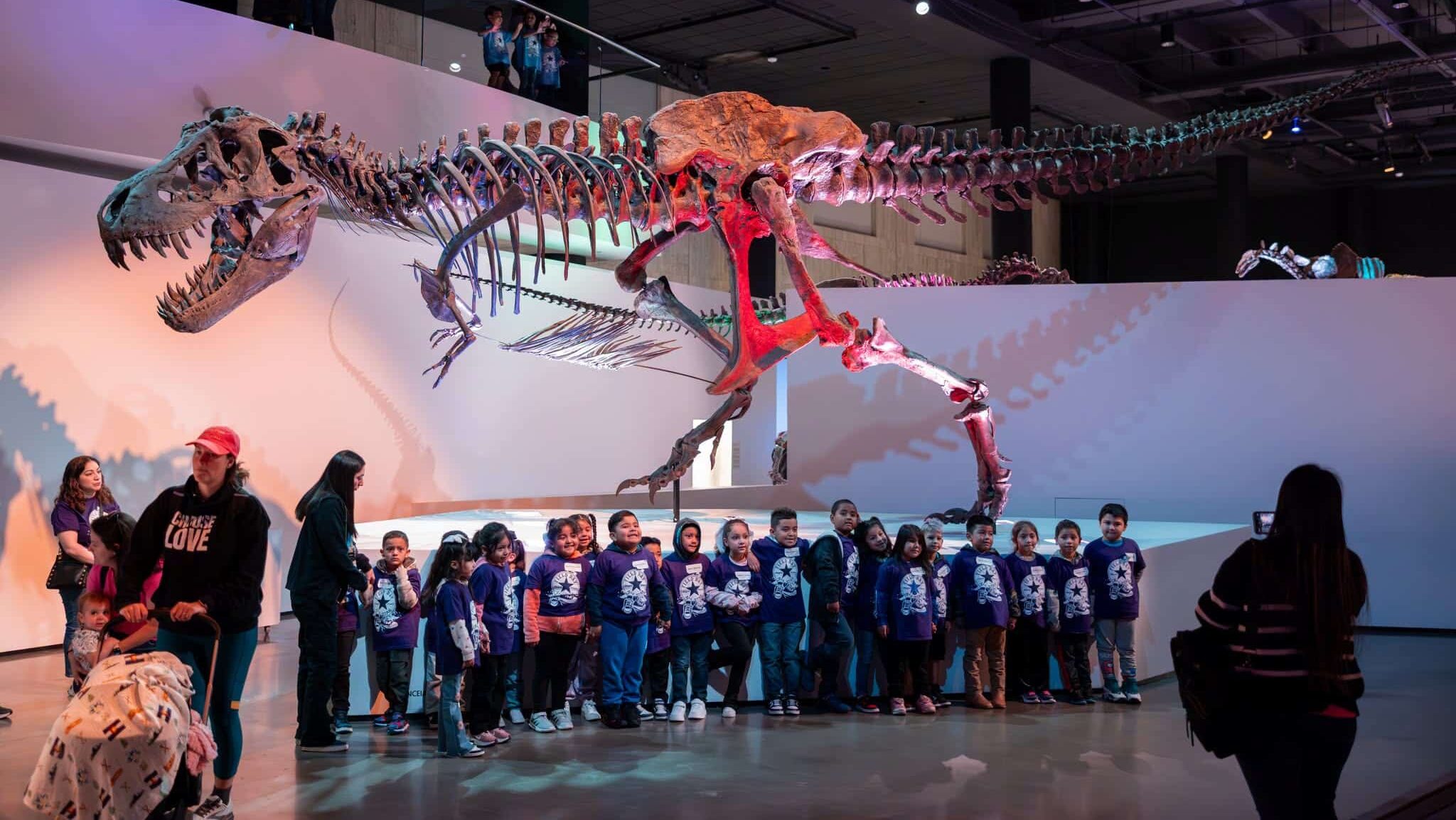 40+ Best Things to do in Houston This Summer: Ultimate Guide 2 Things to do in Houston this Summer - Visit the Houston Museum of Natural Science
