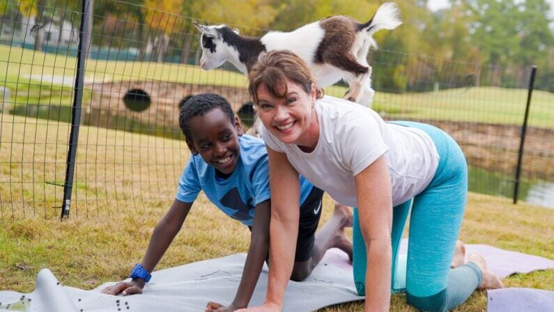Top weekend events in Houston July 3 - 5, 2026 - Goat Yoga at The Woodlands Resort