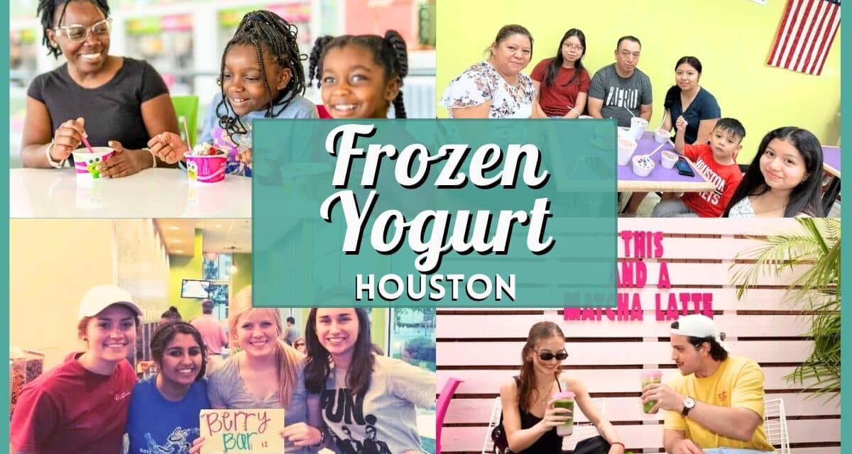 10 Best Frozen Yogurt in Houston: Top Spots & Swirls 2026