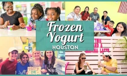 10 Best Frozen Yogurt in Houston: Top Spots & Swirls 2026