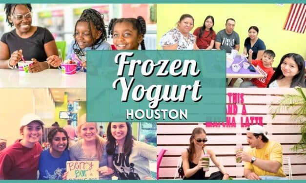 10 Best Frozen Yogurt in Houston: Top Spots & Swirls 2026